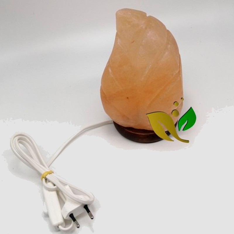 NATURAL SALT LEAF LAMP PLUG