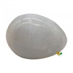 selenita, forma, huevo.