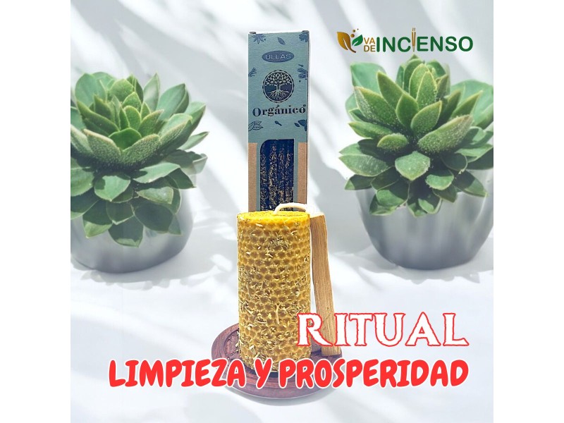 Cleansing and Prosperity Ritual