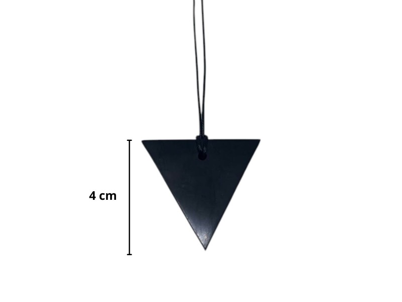 Pendant Shungit Triangle
