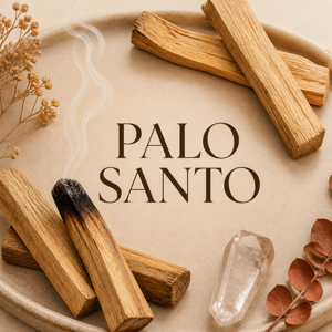 Palo Santo Naturel | Vadeincienso